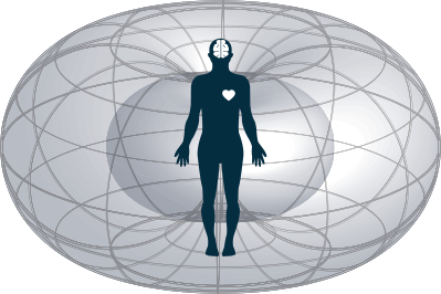 Biomagnetic human field